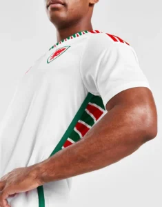camiseta_gales_suplente_2022_uno