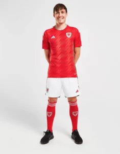camiseta_gales_titular_modelo