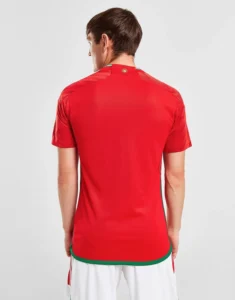 camiseta_gales_titular_modelo