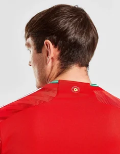 camiseta_gales_titular_modelo