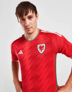camiseta_gales_titular_modelo