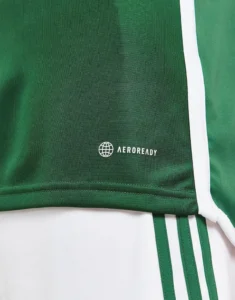 camiseta_irlanda_del_norte_titular_2022_uno