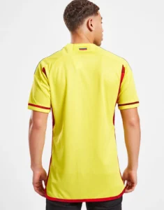 camiseta_colombia_adidas_titular_2022_uno