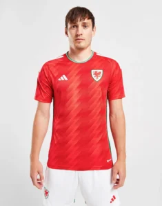 camiseta_gales_titular_modelo